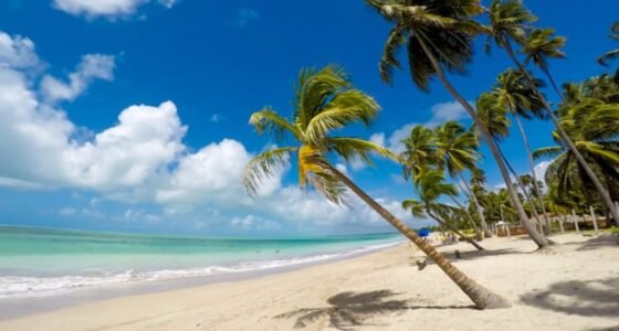 viajante organizado lugares em janeiro