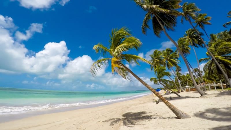 viajante organizado lugares em janeiro